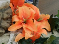 Dutch Lily # 1