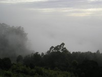 Misty Mountains, Qunu
