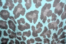Pattern Leopard Blue Background