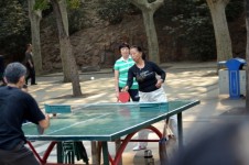 Ping Pong (b)