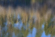 Autumn On The Pond