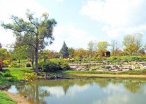 Pond In Park