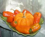 Pumpkin And Peppers