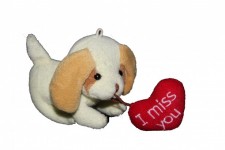 Puppy With I Love You
