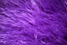 Purple Fur Colorful Background