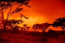 Red African Sunset