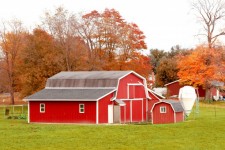 Red Barn In Autumn Field