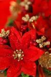 Red Christmas Flower Decoration
