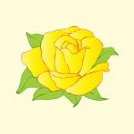 Rose Yellow Flower