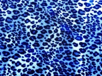 Safari In Blue # 4b