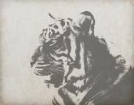 Tiger On Vintage Background