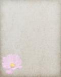 Vintage Flower Paper Background