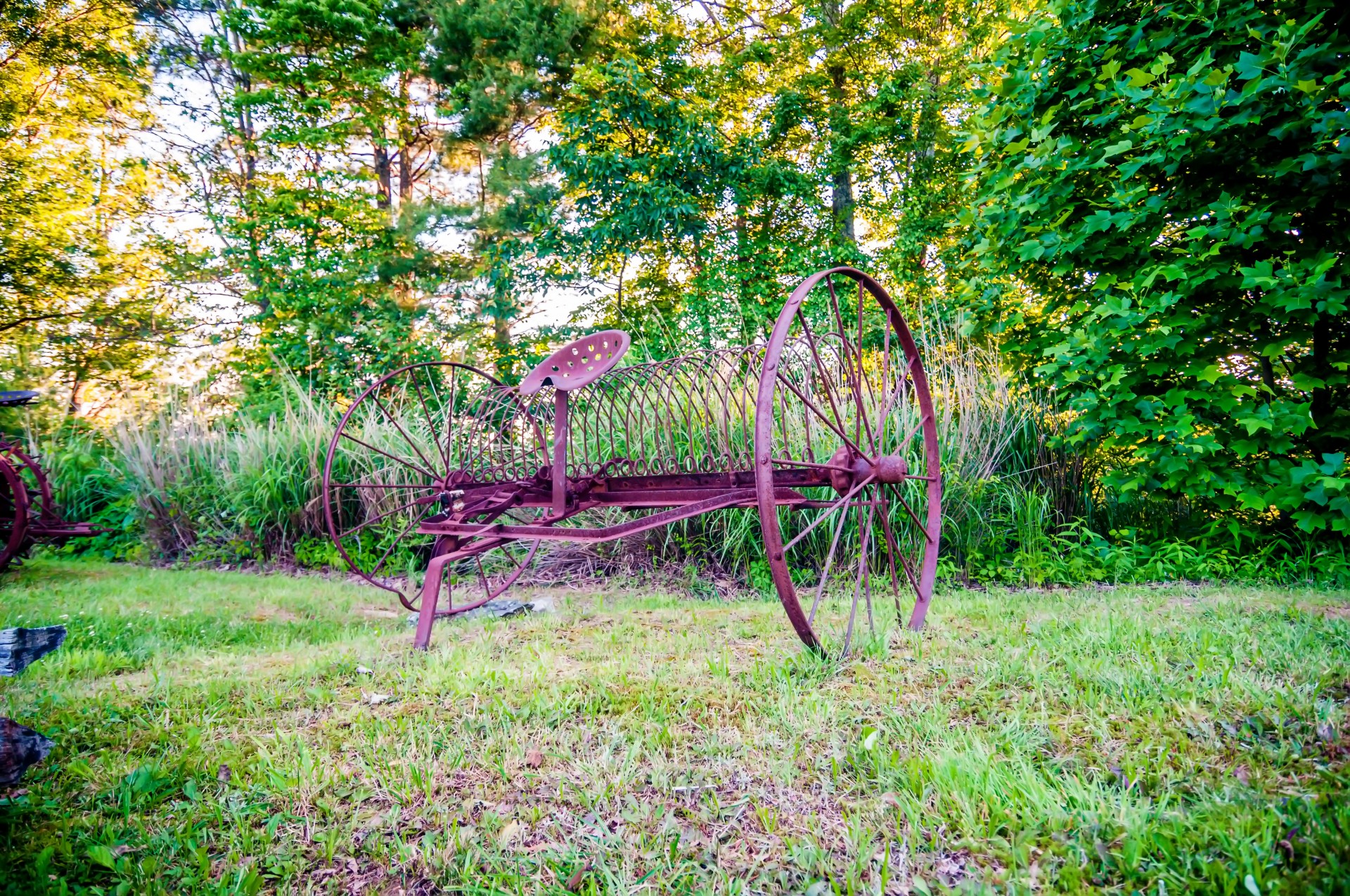 Abandoned Agriculture Equipment