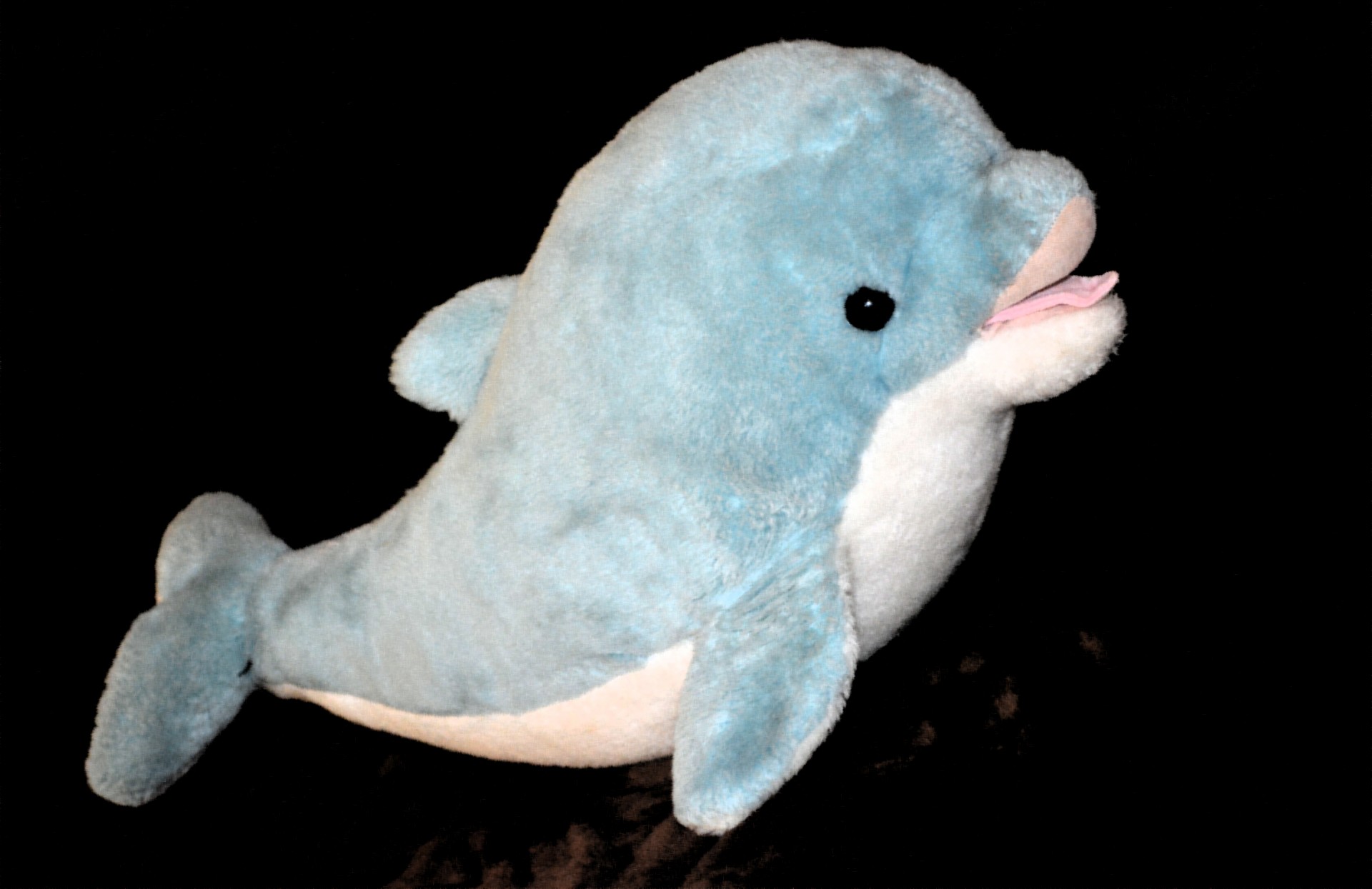Animal Dolphin Pattern Colorful Toy