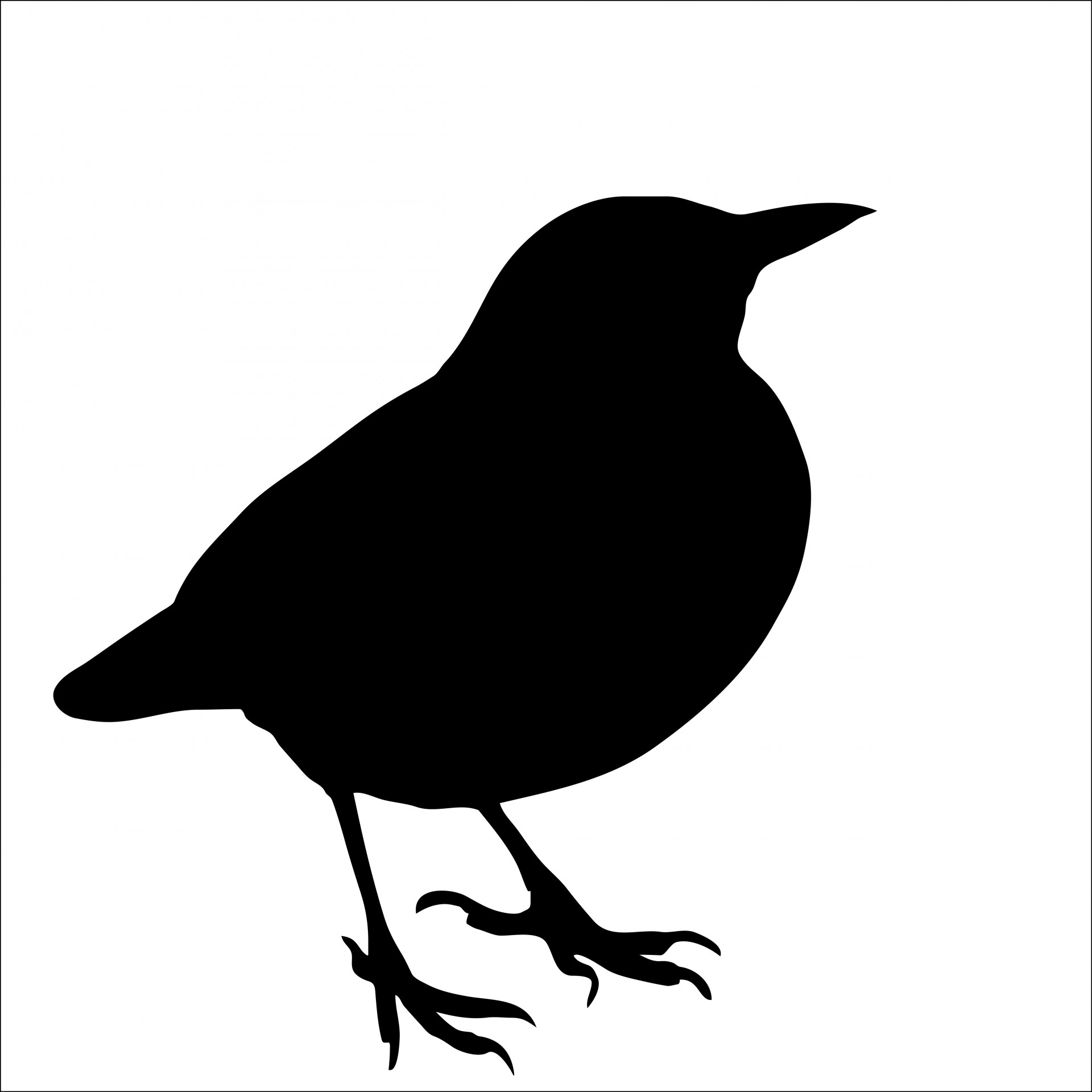 Black silhouette of a blackbird on white background