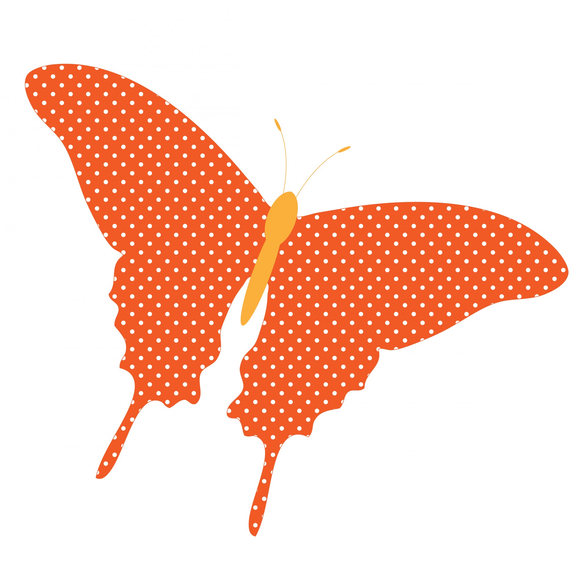 Butterfly Orange Polka Dots