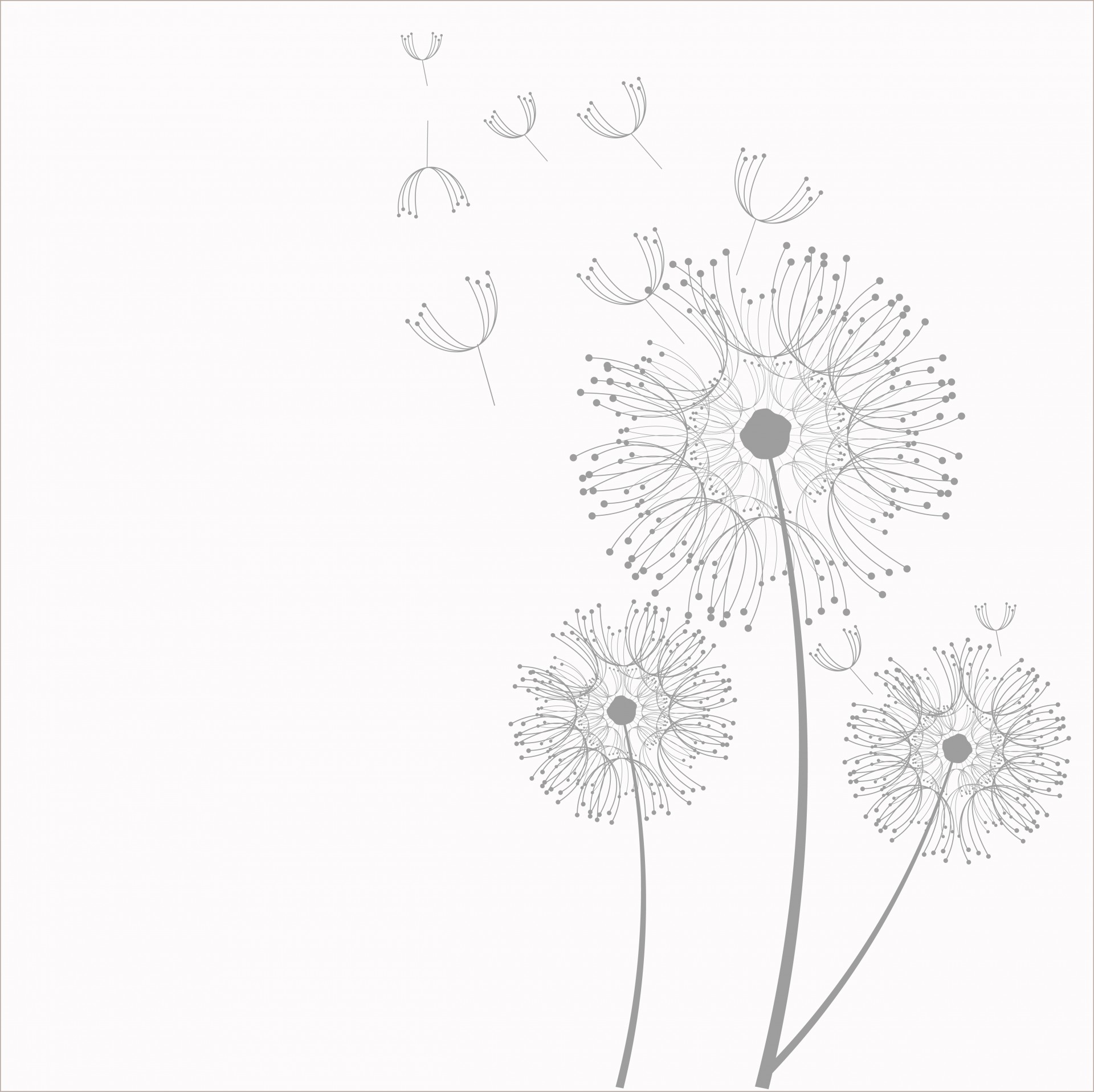 Dandelion flowers puff illustration clipart