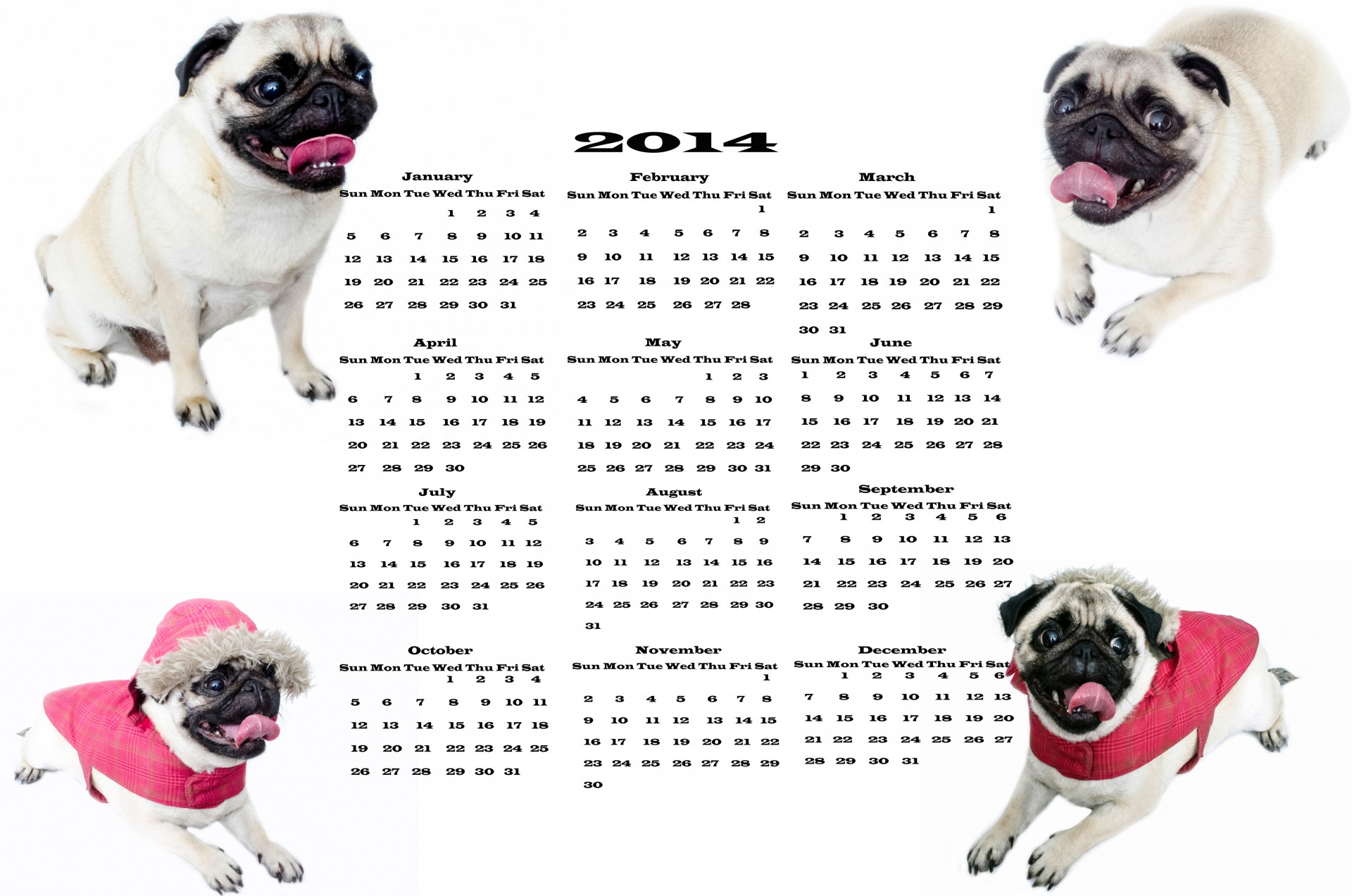 Dog Calendar 2014