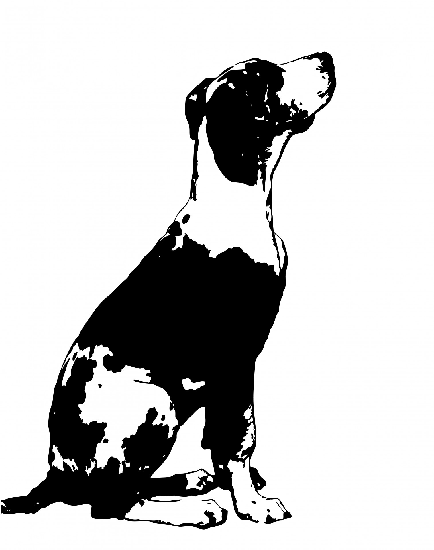 Cute harlequin puppy dog great dane clipart for scrapbooking