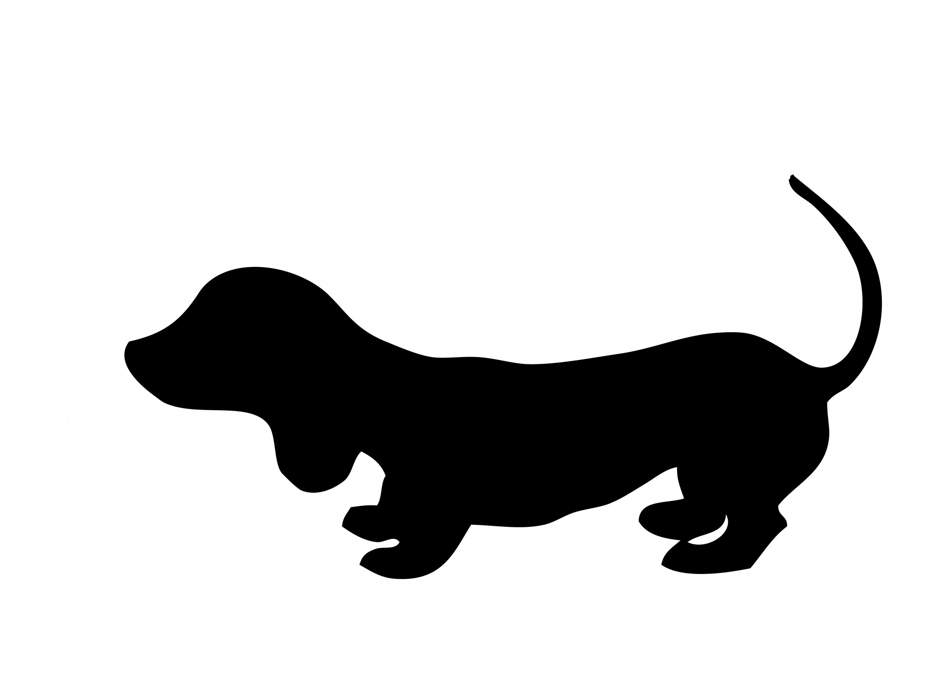 Black silhouette of a cute dachshund puppy dog illustration