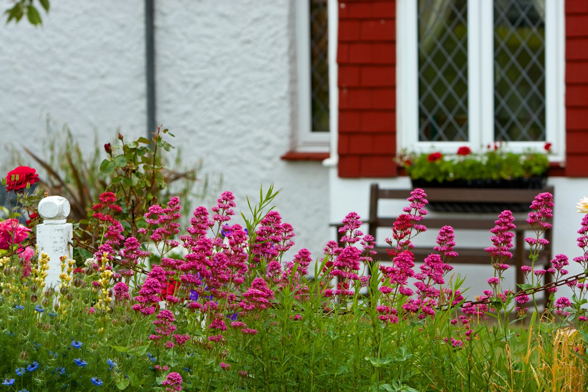 Flowers In Cottage Garden
