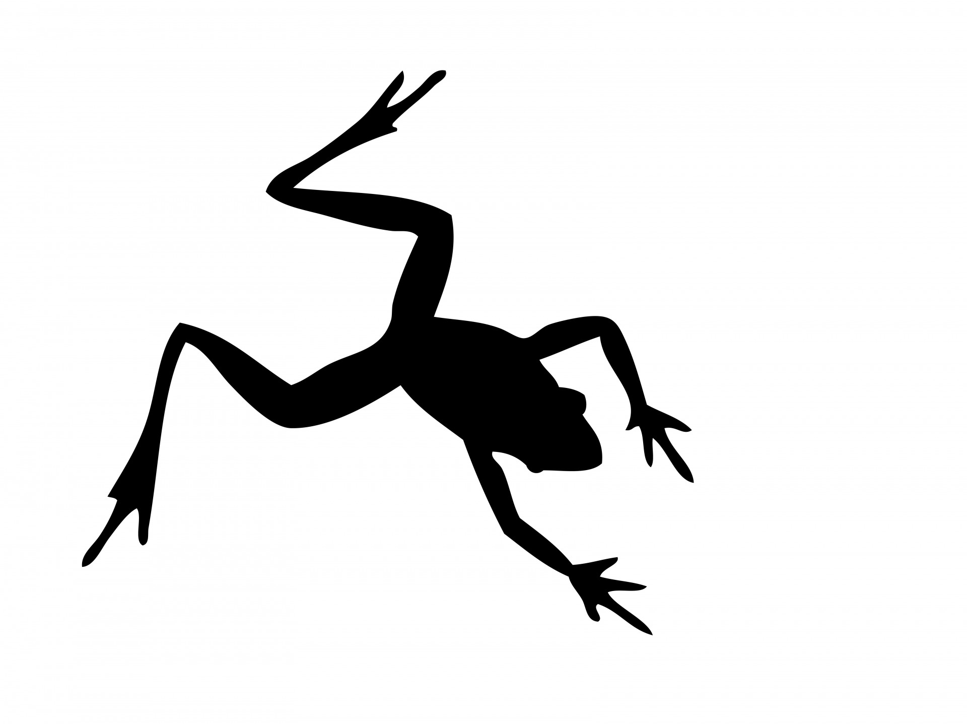Black silhouette of a frog isolated on white background
