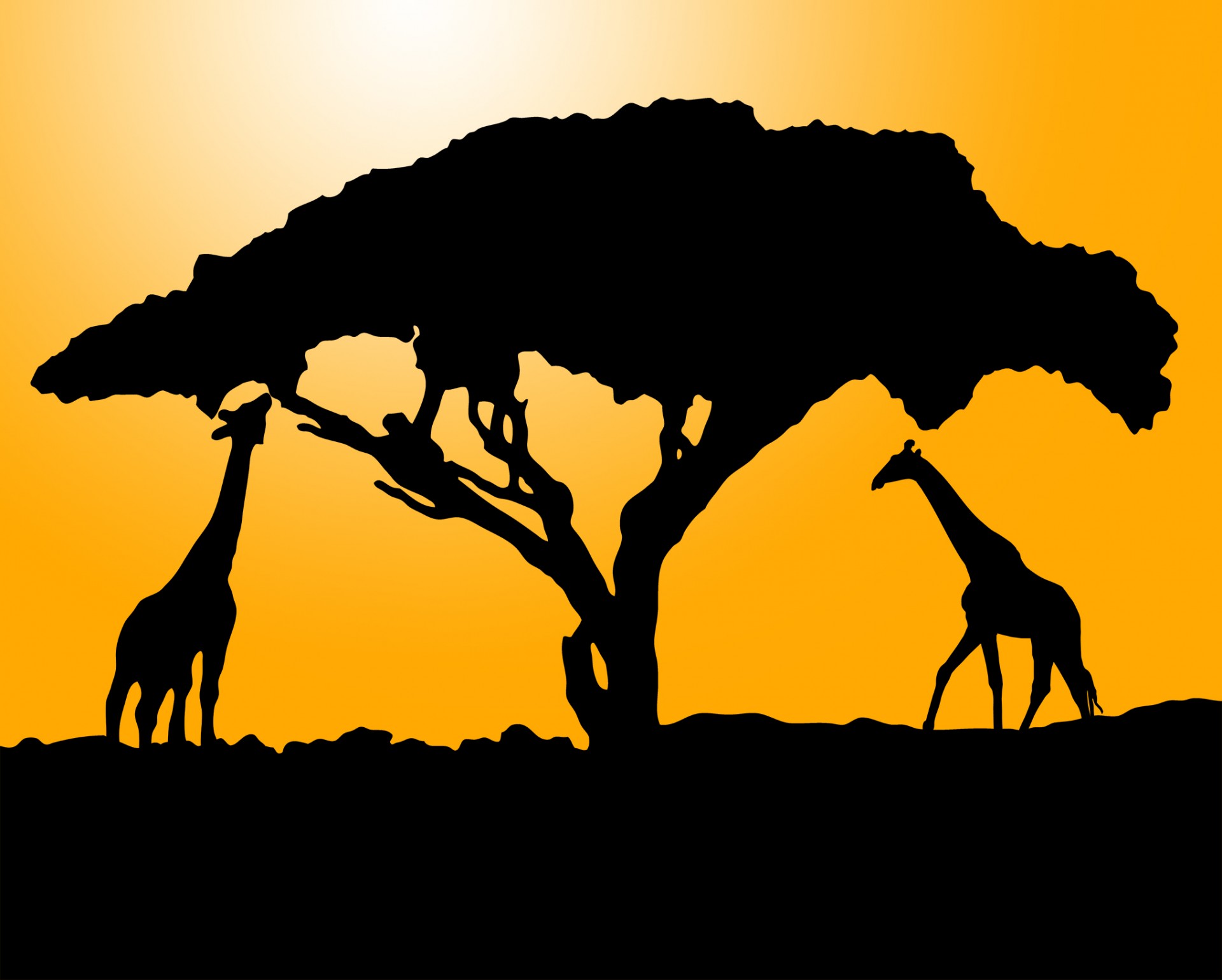 Two giraffes in black silhouette at sunrise or sunset illustration