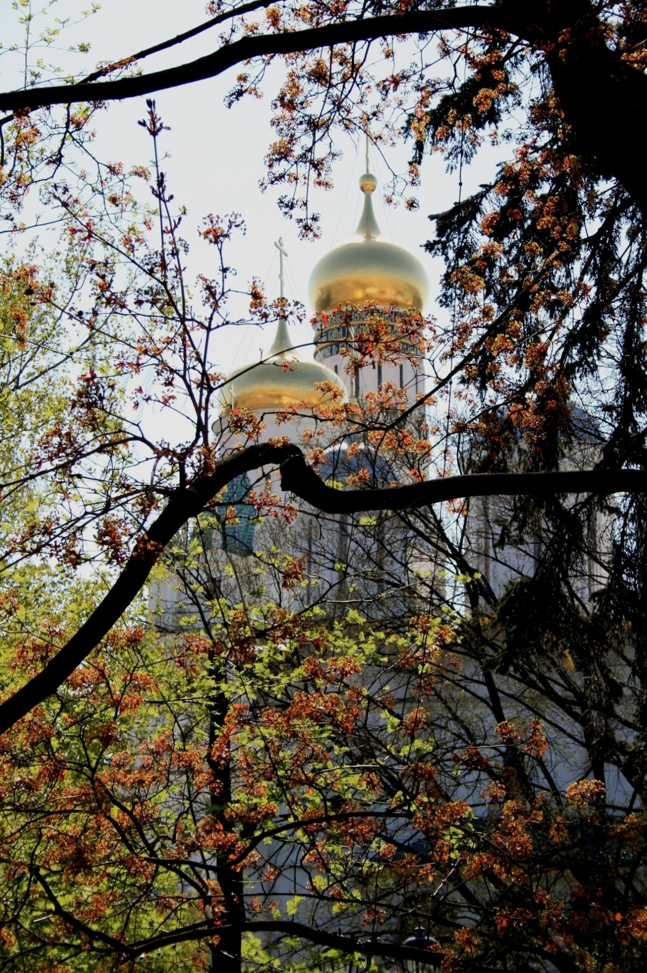 Glimpse of golden cupolas of Cathedral of the Archangel and Ivan the Great bell tower on Church Square, Kremlin, Moscow.