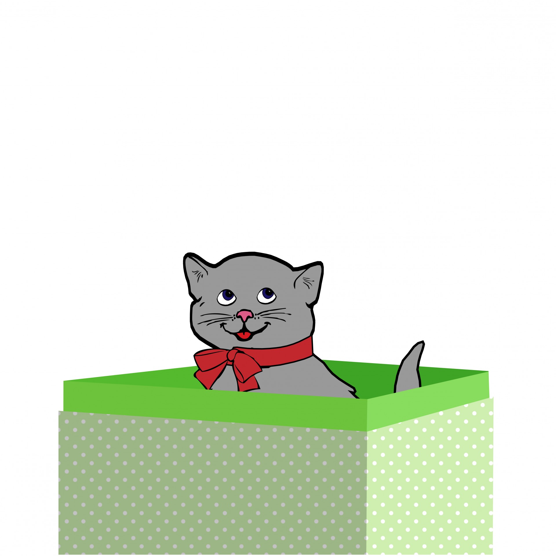 Kitten In A Box