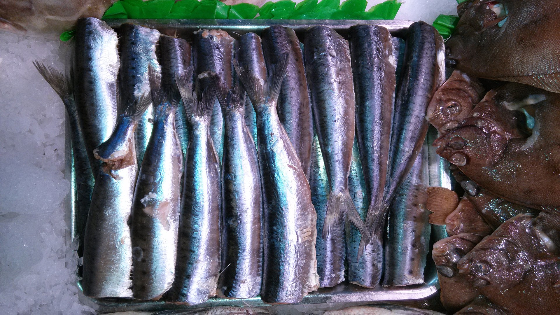 Fresh Sardines ready to eat.