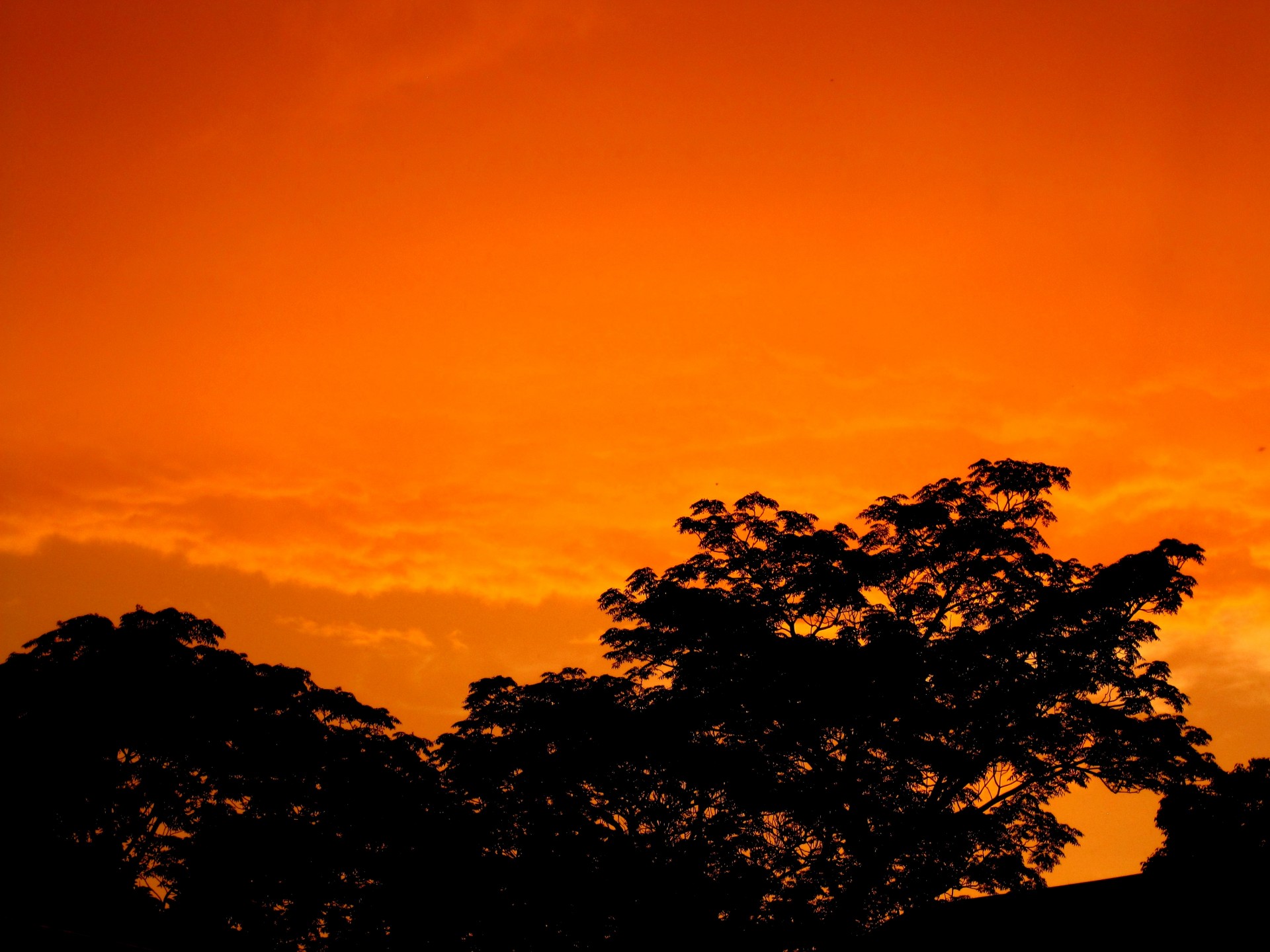 bright orange fills the sky at sundown