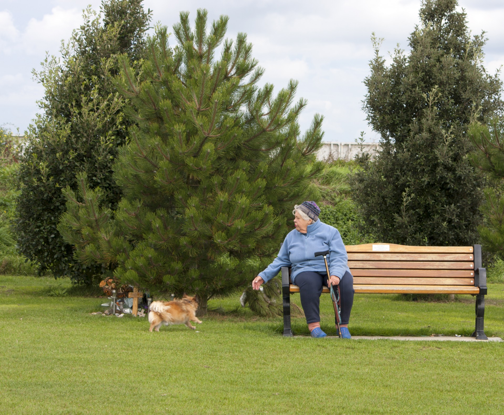 Senior woman sitting on wooden park bench calling her dog