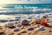 Hello Summer Beach, Seashells