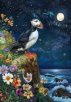 Puffin Bird Vibrant Art Print