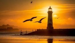 Landscape Lighthouse Sea Seagulls