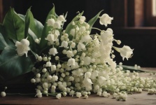 Lily Of The Valley Flowers
