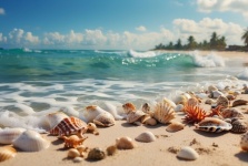 Ocean Waves And Seashells