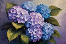 Purple, Blue Hydrangea
