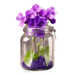 Violet Flowers In A Glass Jar