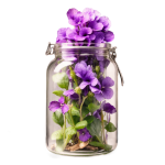 Violet Flowers In Glass Jar