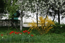 Color In Monastery Garden In Moscow