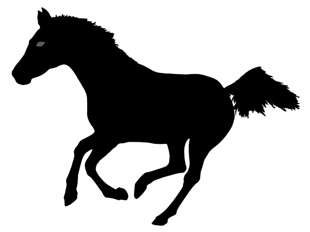 Futó ló sziluett Szabad kép - Public Domain Pictures
