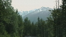 Alaska Mountains Nature Trees