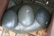 Arrangement Of Large Pebbles