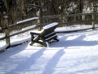 Bench In Snow