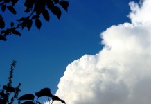 Billowing Cumulus Cloud