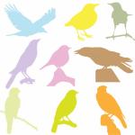Birds Colorful Silhouettes