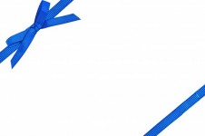 Blue Bow On White Background