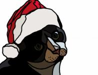 Christmas Tuxedo Cat
