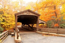 Covered Bridge In Forest 2